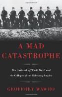 A Mad Catastrophe book cover